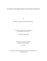 Functions of effectors and small RNAs in wheat rust disease