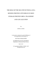 The role of the multifunctional RNA binding protein OsTudor-SN in rice storage protein mRNAs transport and localization
