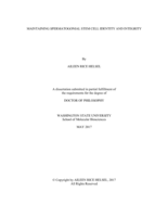 MAINTAINING SPERMATOGONIAL STEM CELL IDENTITY AND INTEGRITY