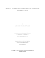Structural and Enzymatic Characterization of the Sorghum Lignin Biosynthesis Pathway