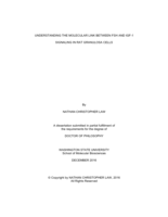 Understanding the Molecular Link Between FSH and IGF-1 Signaling in Rat Granulosa Cells