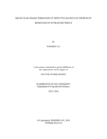 MOLECULAR CHARACTERIZATION OF EFFECTIVE SOURCES OF STRIPE RUST RESISTANCE IN TETRAPLOID WHEAT