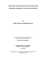 STRUCTURAL CHARACTERIZATION OF THE ANAPLASMA MARGINALE ANTIGENICALLY VARIANT MSP2 PROTEIN