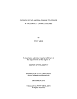 Excision Repair and DNA Damage Tolerance in the Context of Nucleosomes