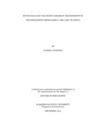 Extracellular cues shape GABAergic transmission in the developing hippocampus: The case of leptin