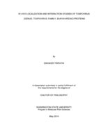 IN VIVO LOCALIZATION AND INTERACTION STUDIES OF TOSPOVIRUS (GENUS: TOSPOVIRUS; FAMILY: BUNYAVIRIDAE) PROTEINS
