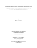 THE IDENTIFICATION AND CHARACTERIZATION OF CAMPYLOBACTER JEJUNI TYPE THREE SECRETION SYSTEM (T3SS) EFFECTOR PROTEINS THAT ARE TRANSLOCATED INTO THE HOST CELL CYTOPLASM