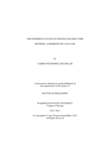 The Experience of Infant Feeding for First-Time Mothers: A Hermeneutic Analysis