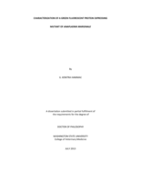 CHARACTERIZATION OF A GREEN FLUORESCENT PROTEIN EXPRESSING