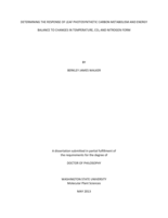 Determining the response of leaf photosynthetic carbon metabolism and energy balance to changes in temperature, CO<sub>2</sub> and nitrogen form