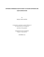 INTRINSIC MEMBRANE ADAPTATIONS TO COCAINE EXPOSURE AND SLEEP DEPRIVATION