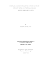 MOLECULAR ANALYSES OF BETAFLEXIVIRIDAE VIRUSES ASSOCIATED WITH RUSTY MOTTLE AND TWISTED LEAF DISEASES  OF SWEET CHERRY (PRUNUS AVIUM)