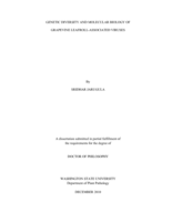 GENETIC DIVERSITY AND MOLECULAR BIOLOGY OF GRAPEVINE LEAFROLL-ASSOCIATED VIRUSES