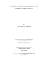 REVITALIZING ANTIBIOTICS USING ANTIMICROBIAL PEPTIDES  IN THE AGE OF MULTIDRUG RESISTANCE
