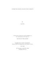 Attributed graph analysis with usability