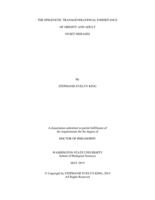 The Epigenetic Transgenerational Inheritance of Obesity and Adult Onset Diseases