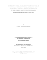 Contributions of Cell Shape and Conformations of Surface Biopolymers of Multidrug-Resistant Escherichia coli to their Adhesion, Elasticity, Biofilm Formation and Resistance Mechanisms to Ampicillin