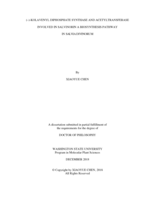 (–)-KOLAVENYL DIPHOSPHATE SYNTHASE AND ACETYLTRANSFERASE INVOLVED IN SALVINORIN A BIOSYNTHESIS PATHWAY IN SALVIA DIVINORUM