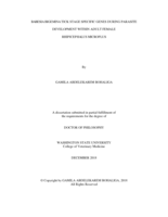 BABESIA BIGEMINA TICK STAGE SPECIFIC GENES DURING PARASITE  DEVELOPMENT WITHIN ADULT FEMALE RHIPICEPHALUS MICROPLUS