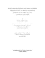 METABOLIC PROGRESSION DURING DEVELOPMENT OF SYMBIOTIC NITROGEN FIXATION IN THE MEDICAGO-SINORHIZOBIUM SYMBIOSIS AND THE ROLE OF HSLUV AND CLPXP PROTEASE MACHINERY