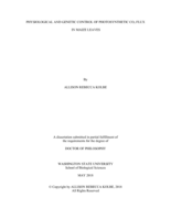 Physiological and genetic control of photosynthetic CO2 flux in maize leaves