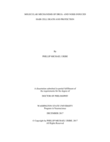 MOLECULAR MECHANISMS OF DRUG- AND NOISE-INDUCED   HAIR CELL DEATH AND PROTECTION