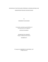 BIOSYNTHESIS OF PLANT SPECIALIZED DITERPENOIDS: LEVERAGING METABOLIC AND TRANSCRIPTOMIC PROFILING FOR GENE DISCOVERY