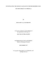 Investigating the Molecular Basis of Heteromorphic Self-Incompatibility in Primula