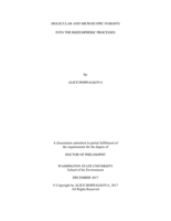 MOLECULAR AND MICROSCOPIC INSIGHTS INTO THE RHIZOSPHERIC PROCESSES