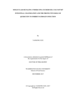 MOLECULAR SIGNALING UNDERLYING ESCHERICHIA COLI O157:H7 INTESTINAL COLONIZATION AND THE PROTECTIVE ROLE OF QUERCETIN TO INHIBIT PATHOGEN INFECTION
