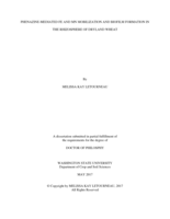 PHENAZINE-MEDIATED FE AND MN MOBILIZATION AND BIOFILM FORMATION IN THE RHIZOSPHERE OF DRYLAND WHEAT