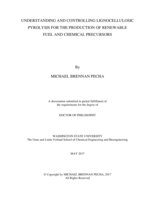 Understanding and controlling lignocellulosic pyrolysis for the production of renewable fuel and chemical precursors