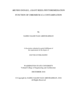 Arundo Donax (Giant Reed) Phytoremediation Function of Chromium (Cr) Contamination