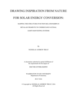 Drawing Inspiration from Nature for Solar Energy Conversion