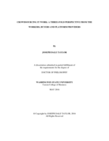 Crowdsourcing IT Work: A Three-Fold Perspective from  the Workers, Buyers and Platform Providers