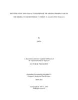 IDENTIFICATION AND CHARACTERIZATION OF THE MISSING PHOSPHATASE ON THE RIBOFLAVIN BIOSYNTHESIS PATHWAY IN ARABIDOPSIS THALIANA