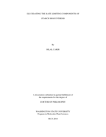 ELUCIDATING THE RATE LIMITING COMPONENTS OF STARCH BIOSYNTHESIS