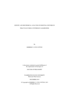 Genetic and Biochemical Analysis of Essential Enzymes in Triacylglycerol Synthesis in Arabidopsis