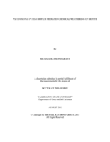 Pseudomonas putida Biofilm Mediated Chemical Weathering of Biotite
