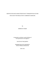 IDENTIFICATION AND CHARACTERIZATION OF TRANSCRIPTION FACTORS INVOLVED IN THE REGULATON OF JASMONATE SIGNALING