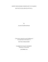 GENETIC MECHANISMS OF RESISTANCE TO FUSARIUM ROOT ROT IN PEA (PISUM SATIVUM L.)