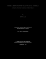 MICROBIAL LIPID PRODUCTION BY OLEAGINOUS FUNGUS MORTIERELLA ISABELLINA THROUGH MORPHOLOGY ENGINEERING