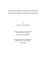 The role of secondary aluminosilicate minerals in technetium-99 immobilization in radioactive waste