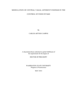 Modulation of Central Vagal Afferent Endings in the Control of Food Intake