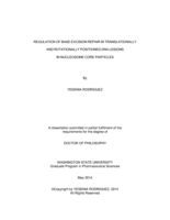 Regulation of Base Excision Repair in Translationally and Rotationally Positioned DNA Lesions in Nucleosome Core Particles