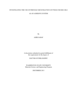 INVESTIGATING THE USE OF PHENOLIC RICH FRACTION OF PYROLYSIS BIO-OILS AS AN ADHESIVE SYSTEM
