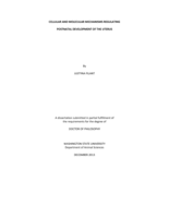 CELLULAR AND MOLECULAR MECHANISMS REGULATING POSTNATAL DEVELOPMENT OF THE UTERUS