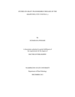 STUDIES ON GRAFT-TRANSMISSIBLE DISEASES OF THE  GRAPEVINE (VITIS VINIFERA L.)