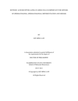 RETINOIC ACID RECEPTOR ALPHA IN GERM CELLS IN IMPORTANT FOR MITOSIS OF SPERMATOGONIA, SPERMATOGONIAL DIFFERENTIATION AND MEIOSIS