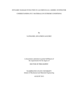 DYNAMIC DAMAGE EVOLUTION IN ALUMINUM AS A MODEL SYSTEM FOR UNDERSTANDING FCC MATERIALS IN EXTREME CONDITIONS